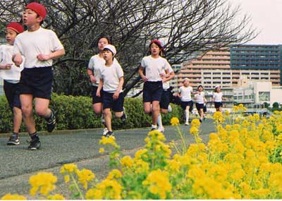 菜の花マラソン画像