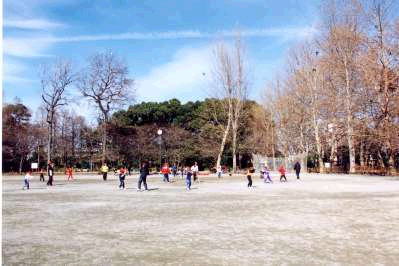 林試の森公園