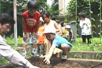 芳水小　幼稚園、保育園児と種まき