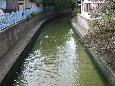 立会川実験開始後