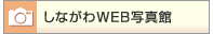 ���Ȃ���WEB�ʐ^��