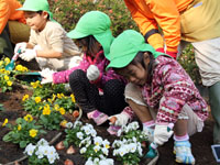 東品川海上公園ミッフィーをモチーフにしたお花のひろば　オープン池田山公園　紅葉
