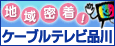 �P�[�u���e���r�i��
