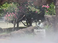 大森貝塚遺跡庭園のミスト噴水