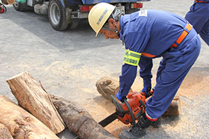 倒木を撤去する品川建設防災協議会