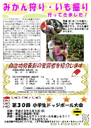 みかん狩り報告など