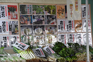 江戸野菜展示コーナー