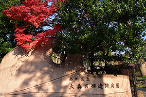 大森貝塚遺跡庭園入口の紅葉