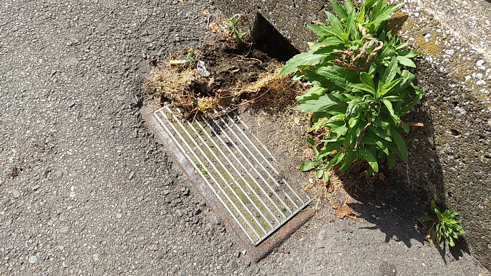 雨桝詰まり