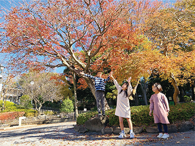 スマートフォン賞　落ち葉遊び写真