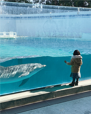 しながわ水族館賞　優しい笑顔でお出迎え写真