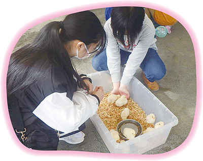 ふれあい動物園イベント写真