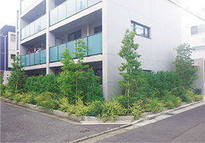 Roseau Pensant写真