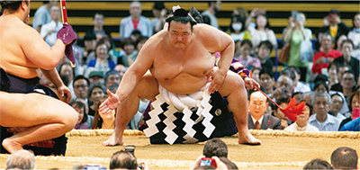 大相撲写真