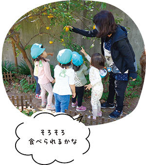 台場保育園写真