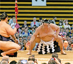 大相撲城南大田場所過去開催写真