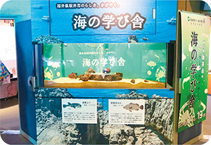 しながわ水族館特別展開催写真