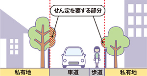 せん定を要する部分イラスト