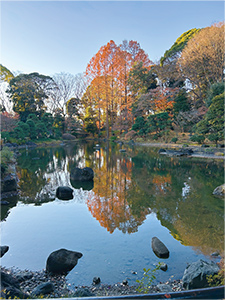 入選「戸越公園　冬」