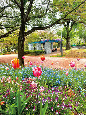 花と緑の公園賞「四季折々の彩りにつつまれて」