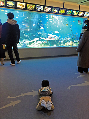 しながわ水族館賞「おさかなのきもち」