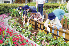 児童による大井町駅前平和の花壇への植栽写真