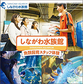 魚類飼育スタッフ体験PR