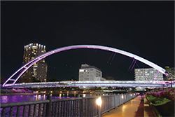 パープルにライトアップした橋写真