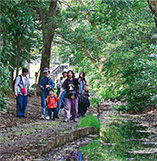 散策や自然遊びスナップ写真