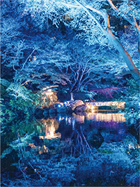 入選「みなもに映る秋のそうとう」