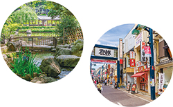 ウォーキングコースイメージ画像