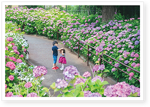 コンテスト2025「公園フォト大賞」作品写真