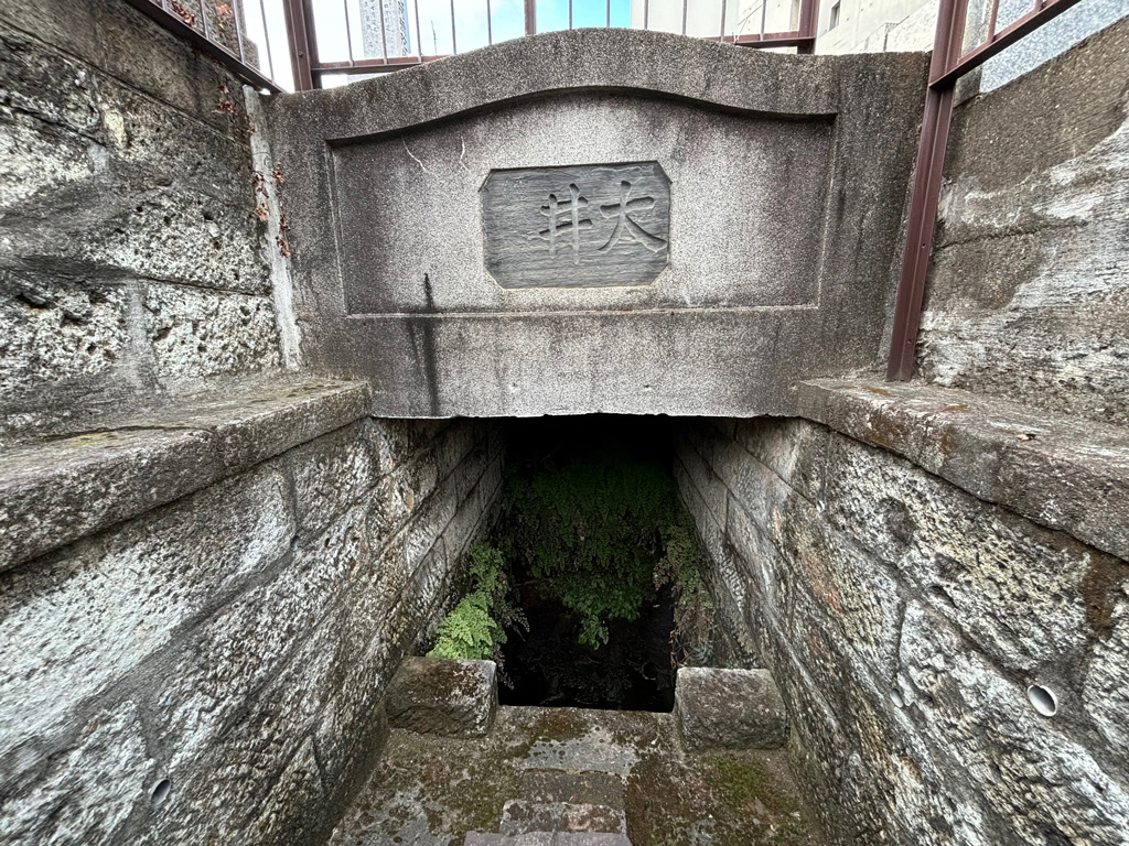 Web_天然記念物1_光福寺のイチョウ.jpg