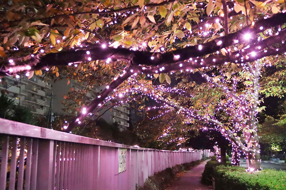 目黒川沿い歩道のイルミネーション