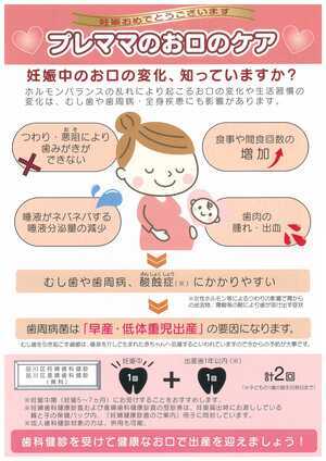 写真:プレママのお口のケア パンフレット表紙