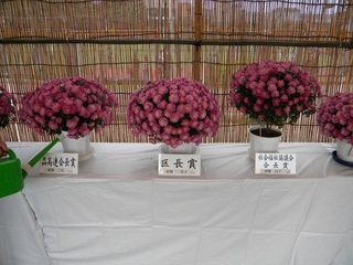 写真:小菊作品展受賞作品
