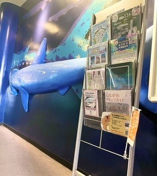 写真:しなすい館内1