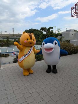 写真:しなフィンとくるみちゃん1
