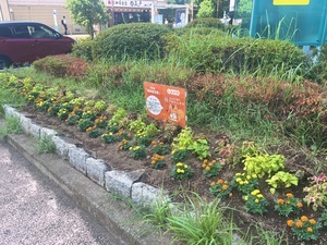 写真:西大井駅前花壇