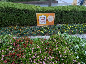 写真：大井町駅前花壇