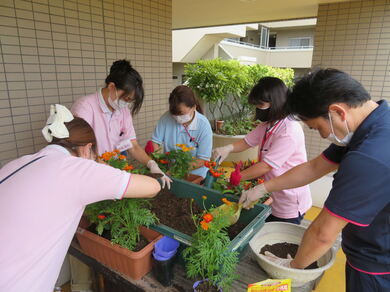 写真：橙色の花の植栽の様子2