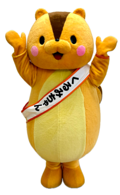 写真:くるみちゃん1