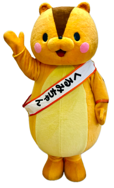 写真:くるみちゃん2