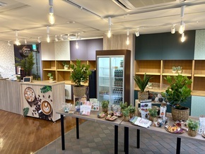 写真:Kitara(きたら)店内1