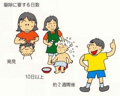 イラスト:駆除に要する日数