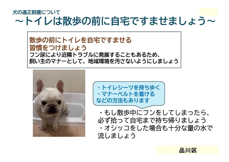 画面:犬の適正飼養について トイレは散歩の前に自宅ですませましょう