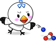 イラスト:シナカモン