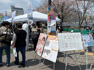 写真:令和7年4月しながわ運河まつり デフリンピック啓発ブース1
