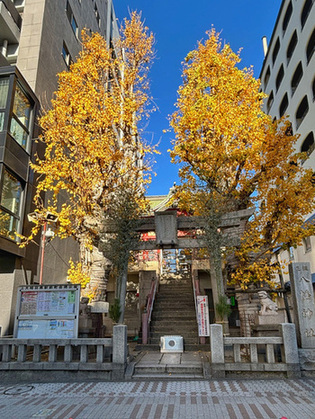 写真:誕生八幡神社のイチョウ(2)