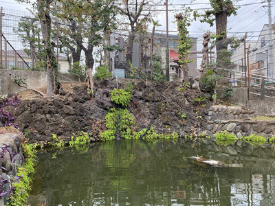 写真：大井・原の水神池